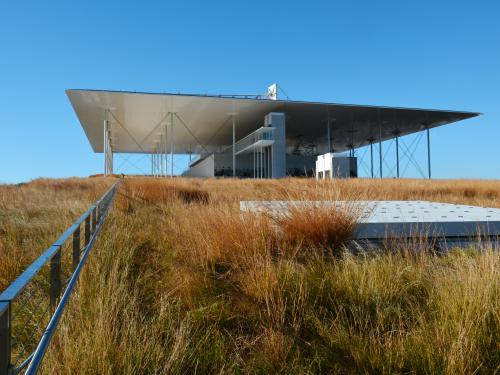 Colourful grasses on a roof and modern building with a flat roof